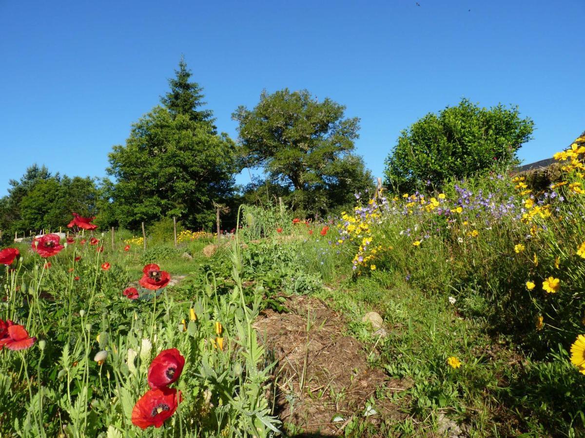 La Ferme De Leix Bed & Breakfast Clergoux
