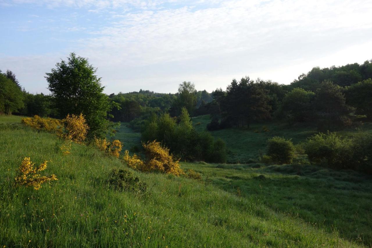 Bed & Breakfast La Ferme De Leix